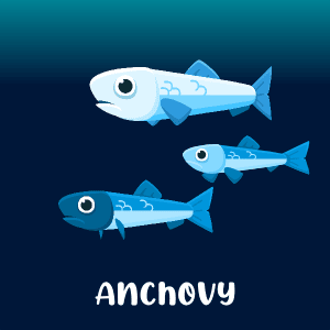 Anchovy 2D game asset