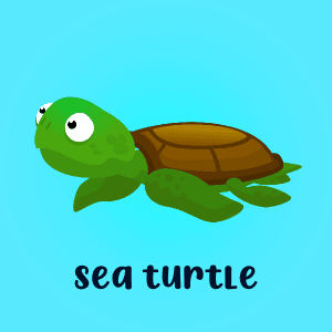 Sea turtle 2D game asset